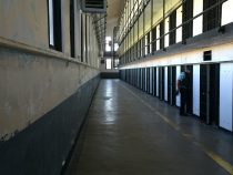 Particolare tenuità del fatto, denunzie e precedenti di polizia non possono ritenersi preclusive al riconoscimento della causa di non punibilità